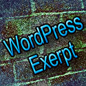 Wordpress exerpt